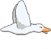 the rarest symbol of all
