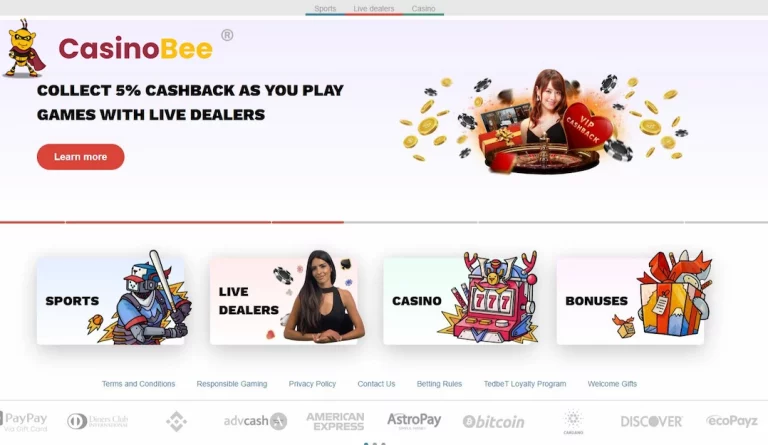 Experience the Thrills at Tedbet Casino