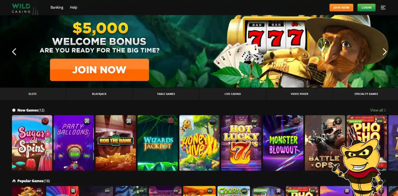Unleash the Excitement: A Review of Wild Casino